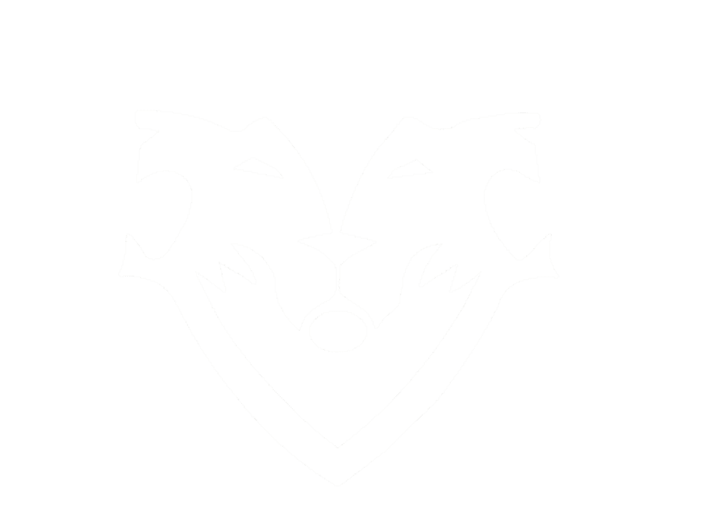 Tribus Dynamics logo
